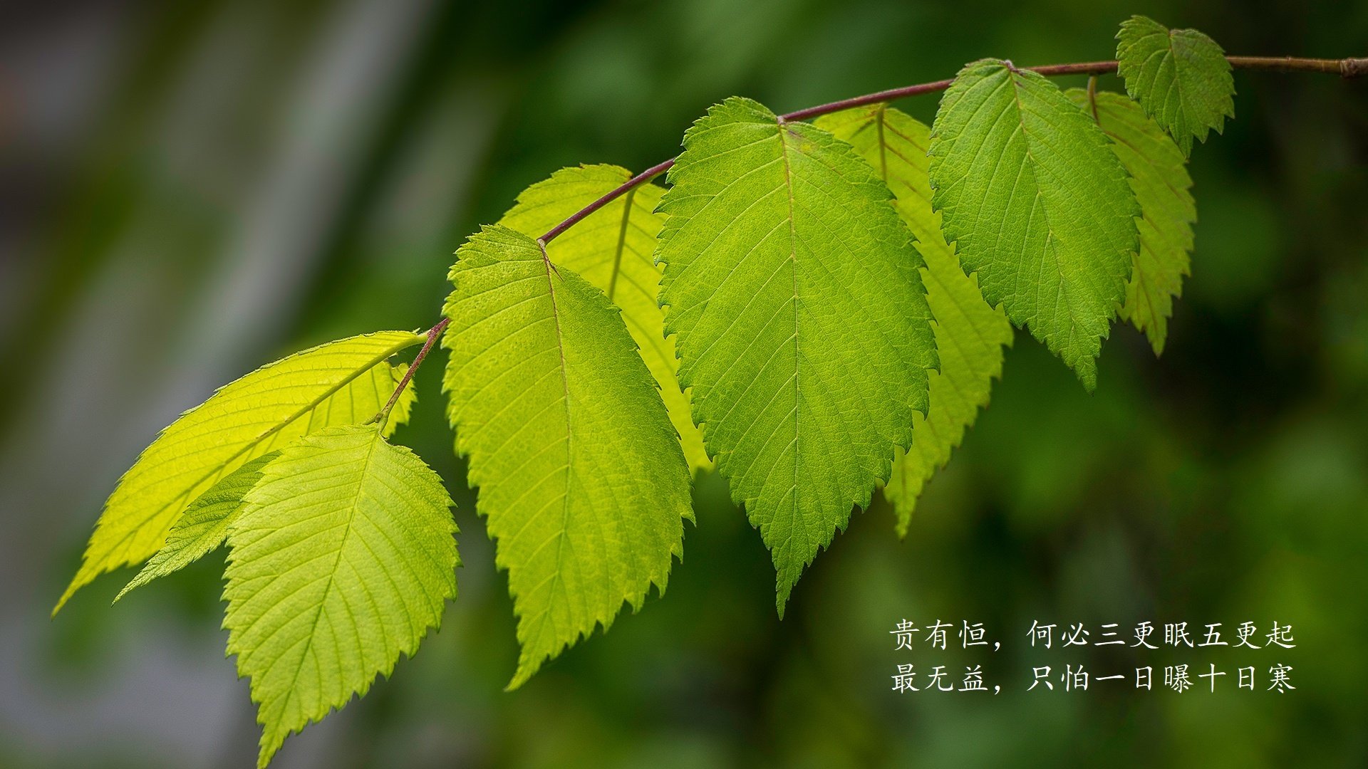 世界乒乓球社区明星公益课:名将下基层提升项目影响力,乒乓世界公众号